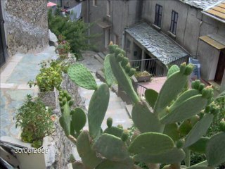 lucciana 2009 by anne marie