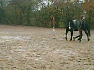 PCBC Allez Les Verts Petit Président