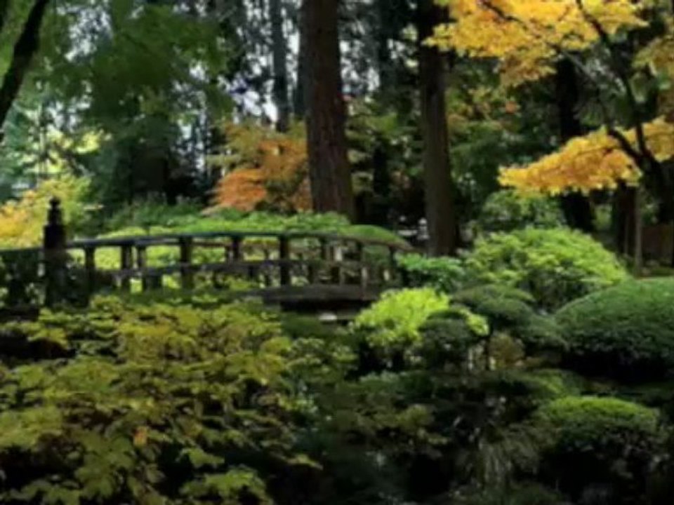 SUKIYAKI BY KYU SAKAMOTO - INTERPRETED BY ERNEST VAN-MOHR