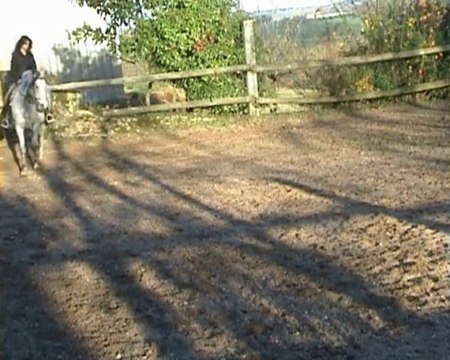 Maltosa montée 19.11.09 suite au pas pour YT