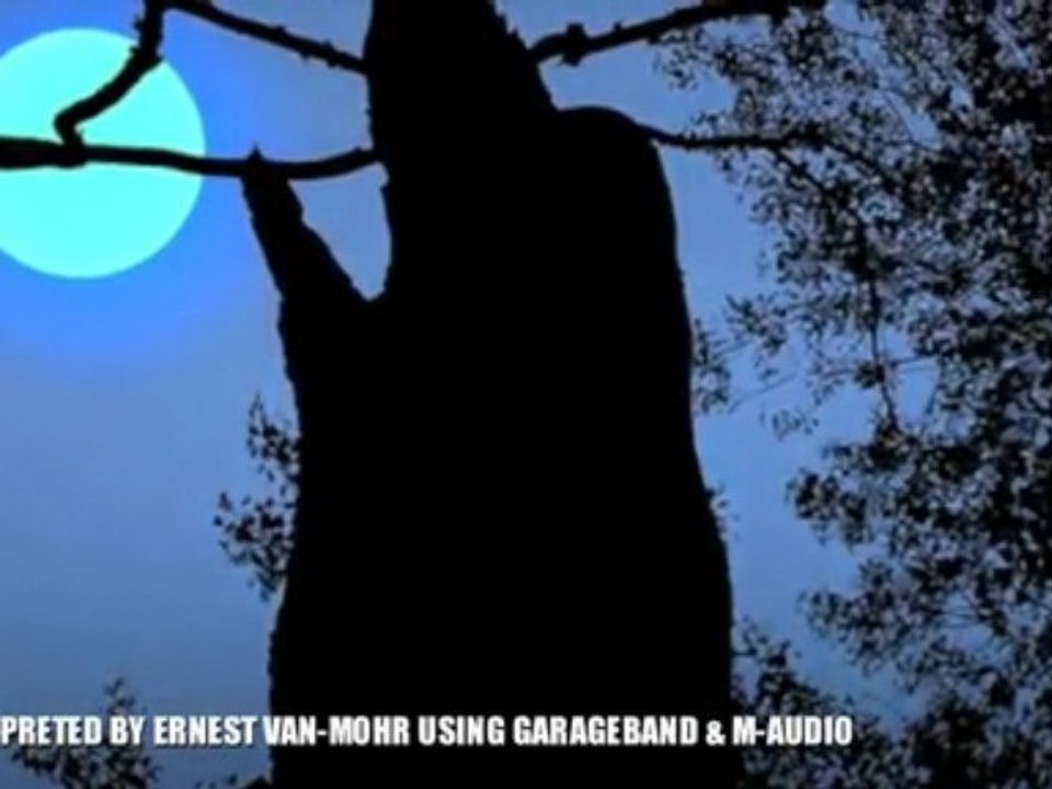 BLUE MOON - L. HART/R. RODGERS - INTERPRETED ERNEST VAN-MOHR