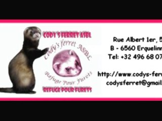 Grissom Cody's Ferret asbl