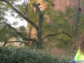 Entrez dans la légende - Suite