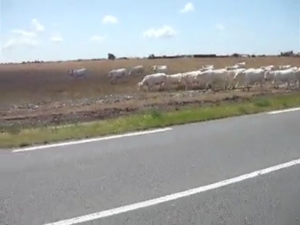 tour de vendée a pied