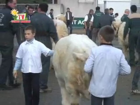 Journal TV Vendée Agricole 20 novembre 2009