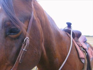 rando du samedi 13 novembre