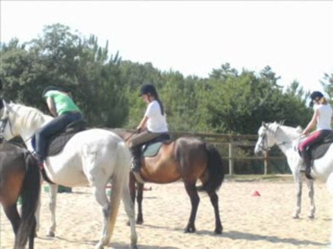 Ballade sur la plage ;D