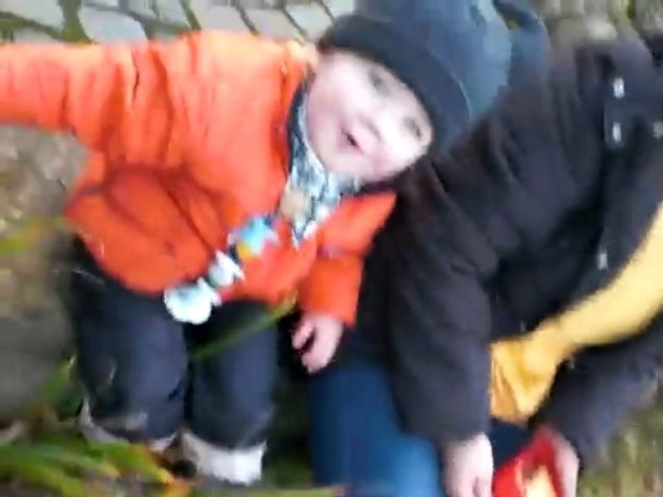 20.11.Enten füttern