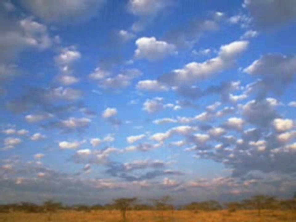 los voceros de cristo -