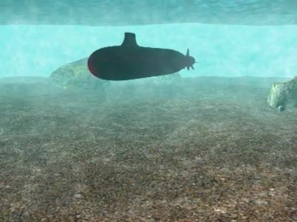 SSN21