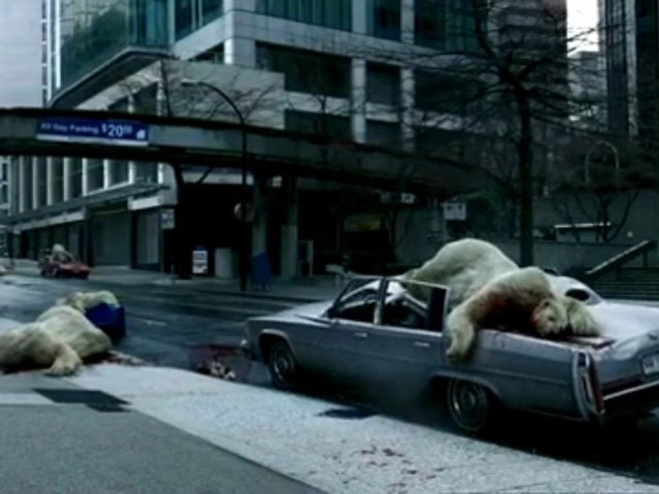 Polar Bear