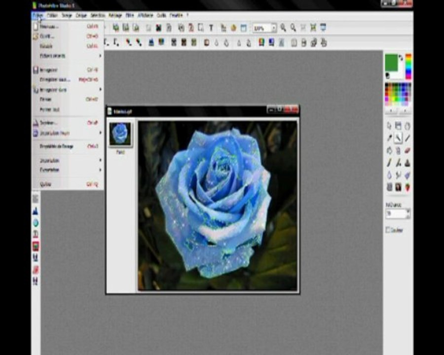 rose