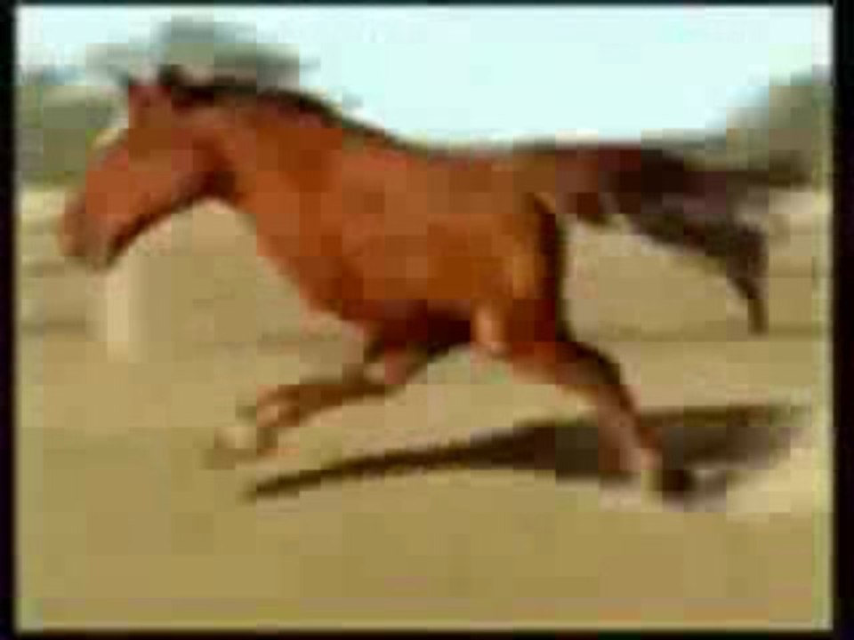 Retarded running horse