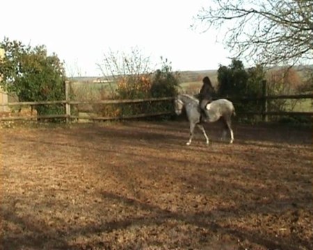 Maltosa montée au trot 20.11.09 1ère partie