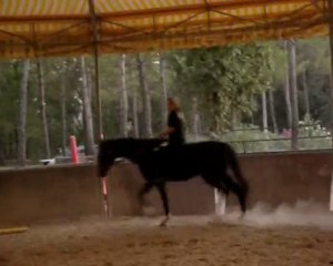 L-H-D-S Videos en vrac !