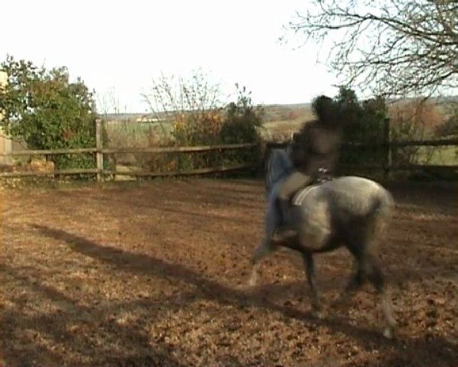 Maltosa montée 3è partie pas et trot 20.11.09 pour YT