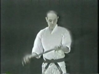 Warrior Pages: Bo Sparring & Kata