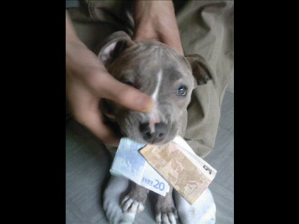 92000 NANTERRE JDMA HAUT D'SEINE VIOLENCE URBAINE