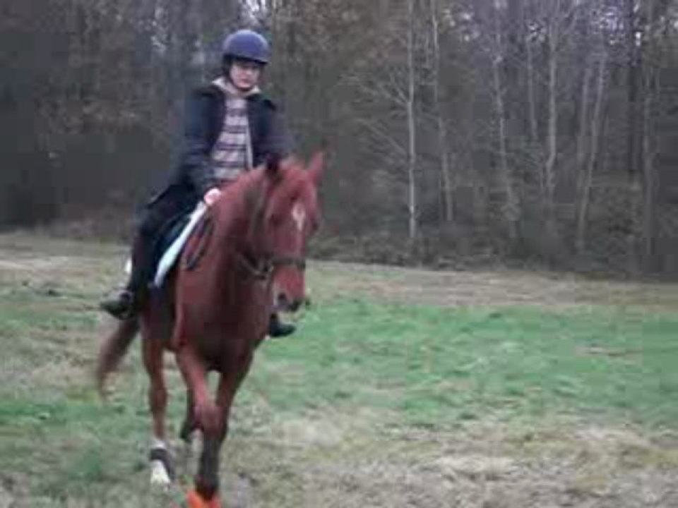 Roi en carriere