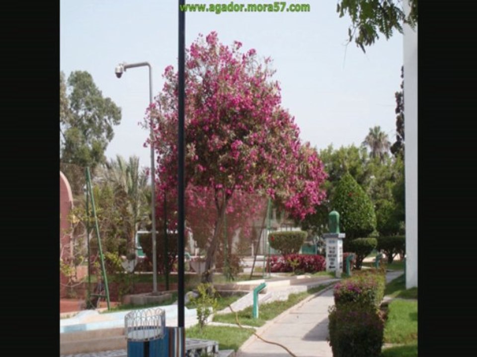 Hotel Agador Juillet 2009 (Agadir - Maroc)