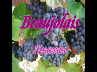 Le Beaujolais nouveau est arrivé !