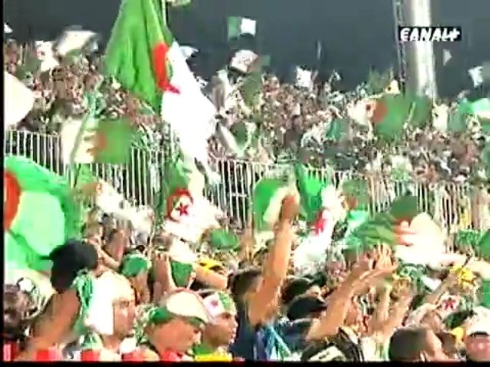 L'Histoire Des Fennecs - Reportage Canal+ - Par Les Bens.AVI