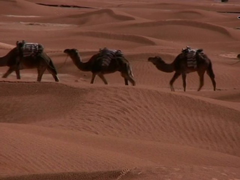 Des traces dans le sable...