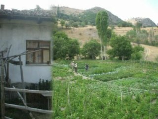 Pusacık Köyü www.pusacik.com Mustafa Çelik