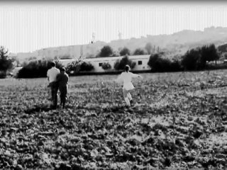 TOMATO, LA VENGANZA DE LOS HIPPIES