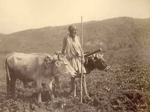 Bernard Lugan, Origine des Berbères. Part 2