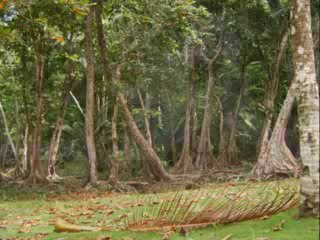 ATLANTIC COAST, PANAMA BEACHES TOUR X VILLA MICHELLE