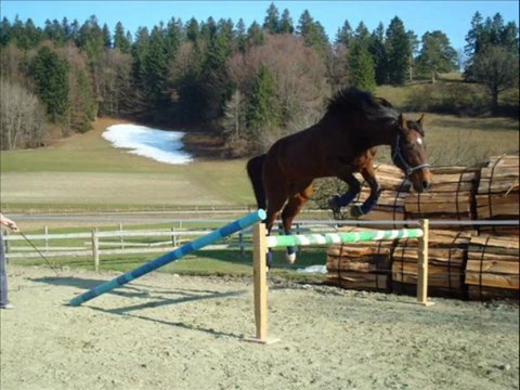 Crack et moi depuis nos débuts