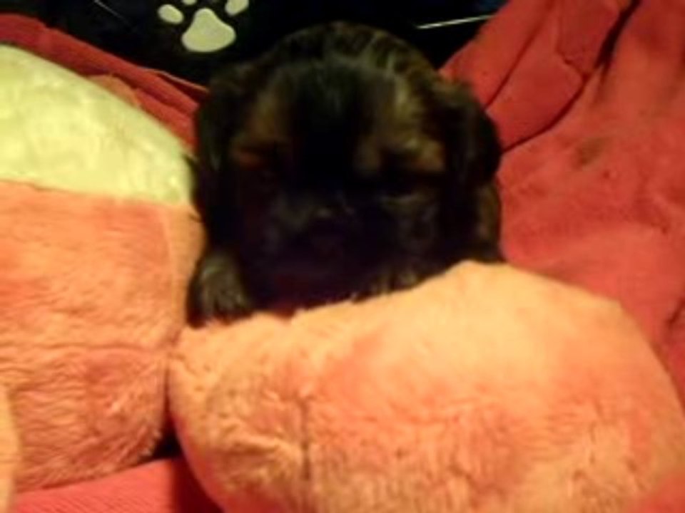 CLIP0019ENYIMA171009