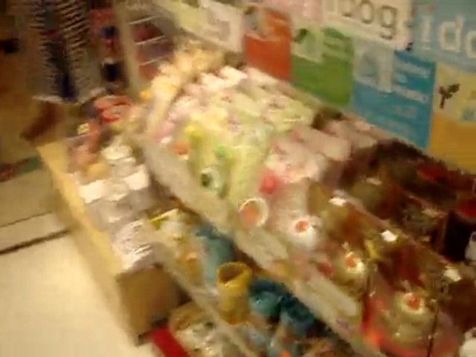 Boutique HAKUHINKAN TOY PARK