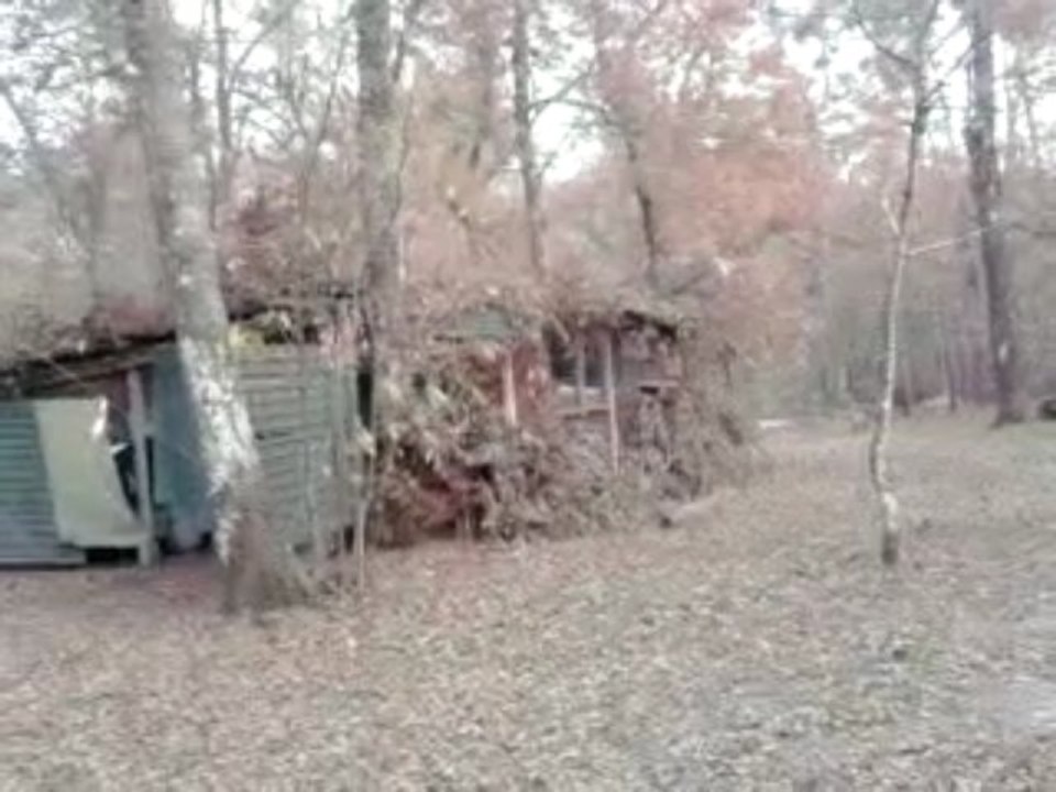l'homme qui parle aux pigeons