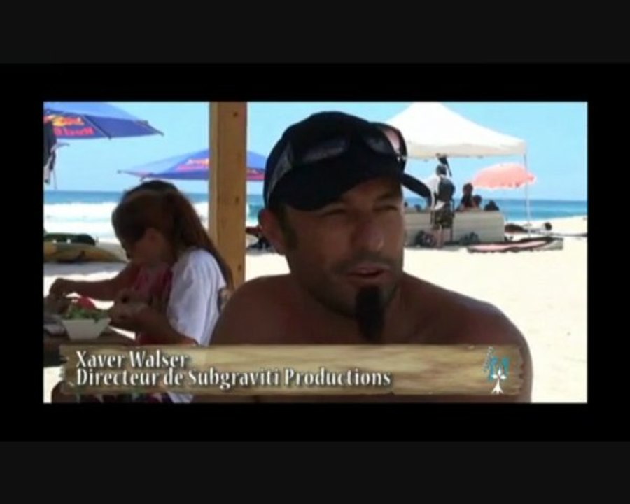 REQUIN FOUINE : ESPECE à PROTEGER, OU TERRIBLE PREDATEUR ?