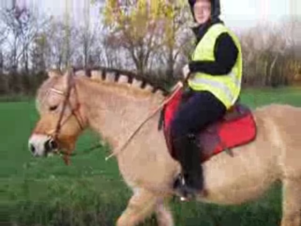 balade ondine 21 nov 2009