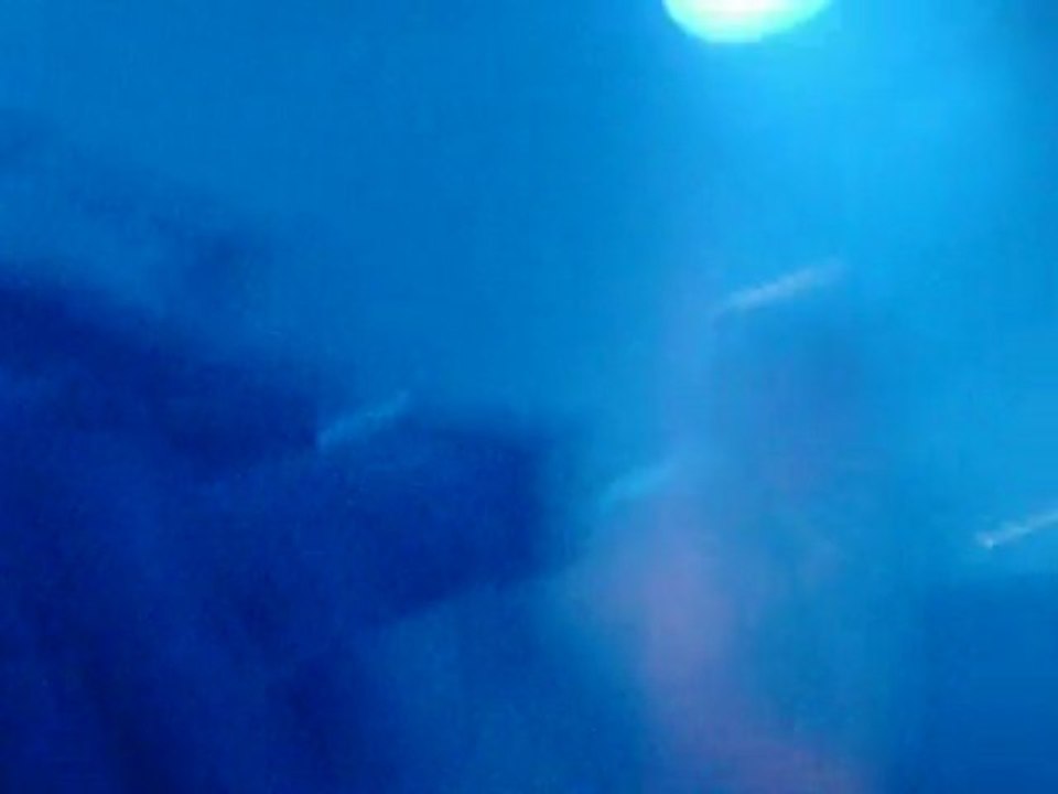 sans dire un mot 16 novembre 2009