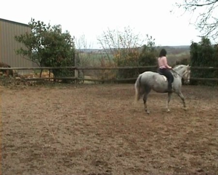 Maltosa montée au pas, 21.11.09 pour YT