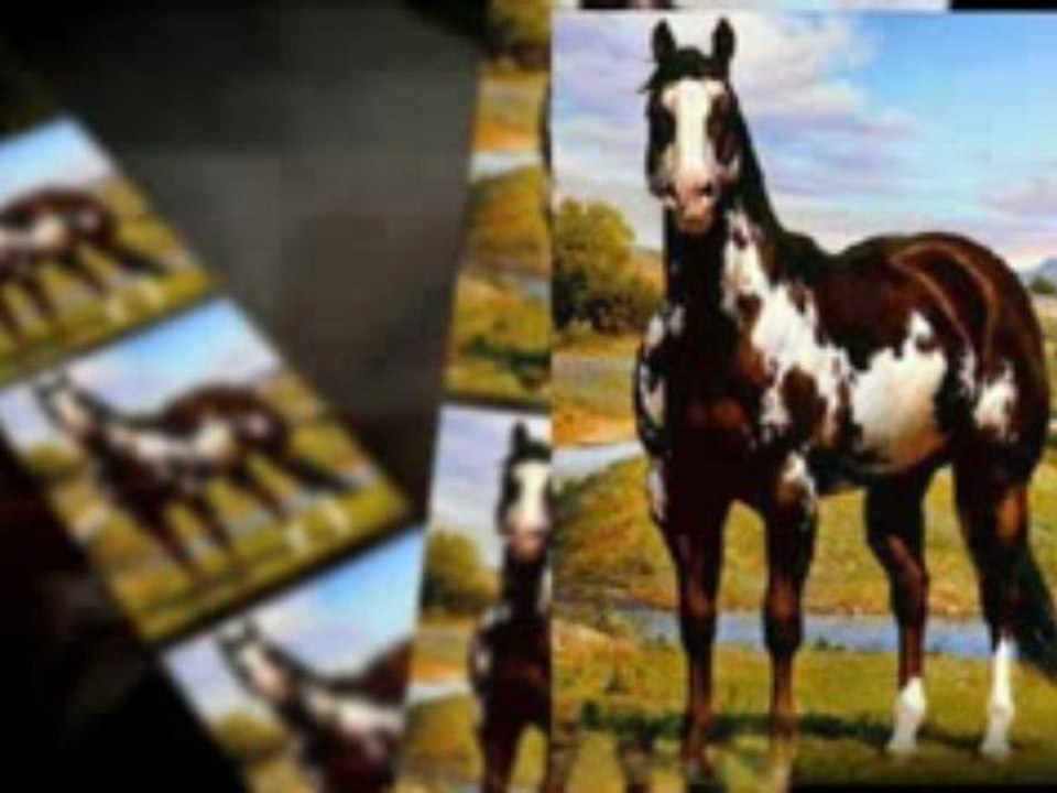 horse coloring
