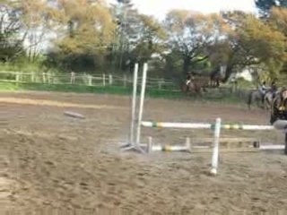 les écuries de pont-aven , Cindy au galop à la détente