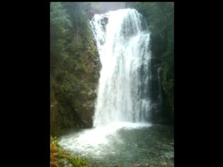 Hasan Polat-Bir Kurşun Atacağım Ericeğin taşına