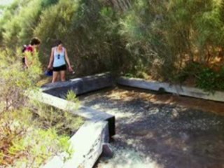 Manly Bike Tours - Dobroyd Head and Spit Bridge