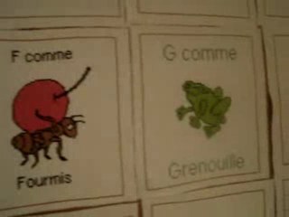 ABCDaire des animaux