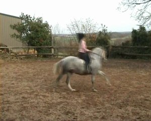 Maltosa montée, les ratés ! 21.11.09 pour YT