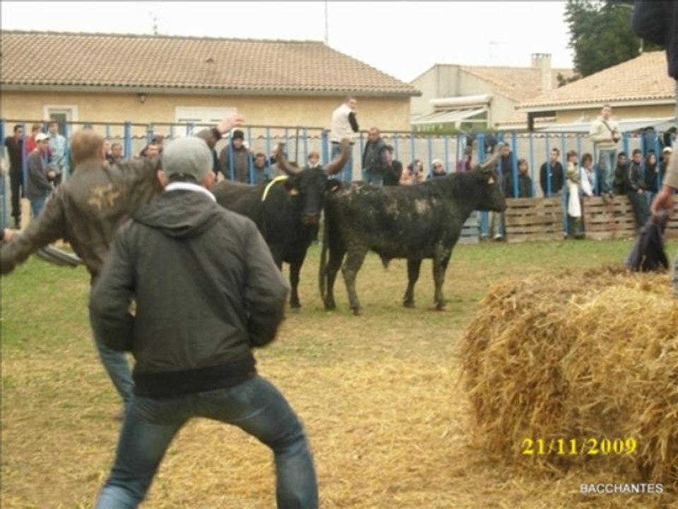 encierro a codognan 21 11 09