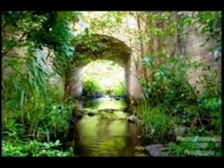 upływa szypko zycie(Krawczyk)