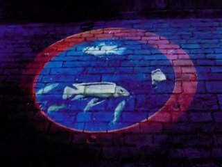 Fête des lumières 2009