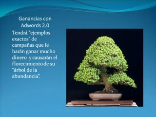 trabajo en casa con adwords 2.0