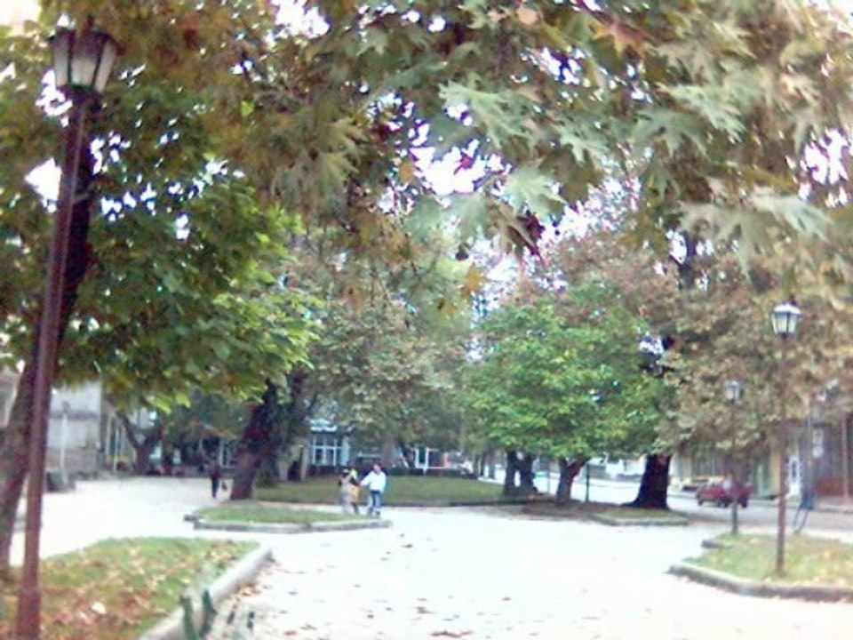 Pravo horo